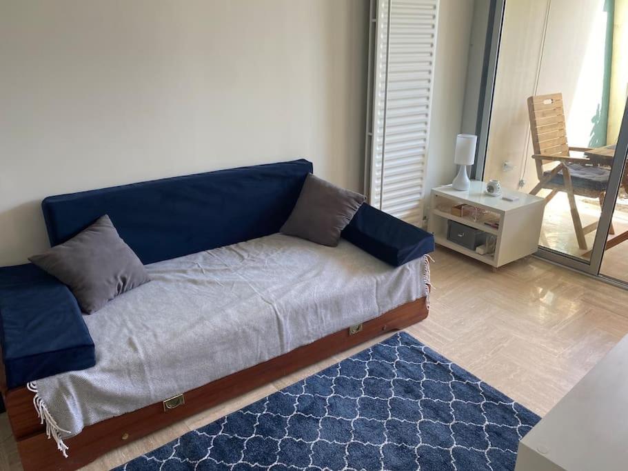 Studio Eleverca 3*- Rez De Jardin Terrasse - Axelle Loc'Appart Mandelieu Kültér fotó